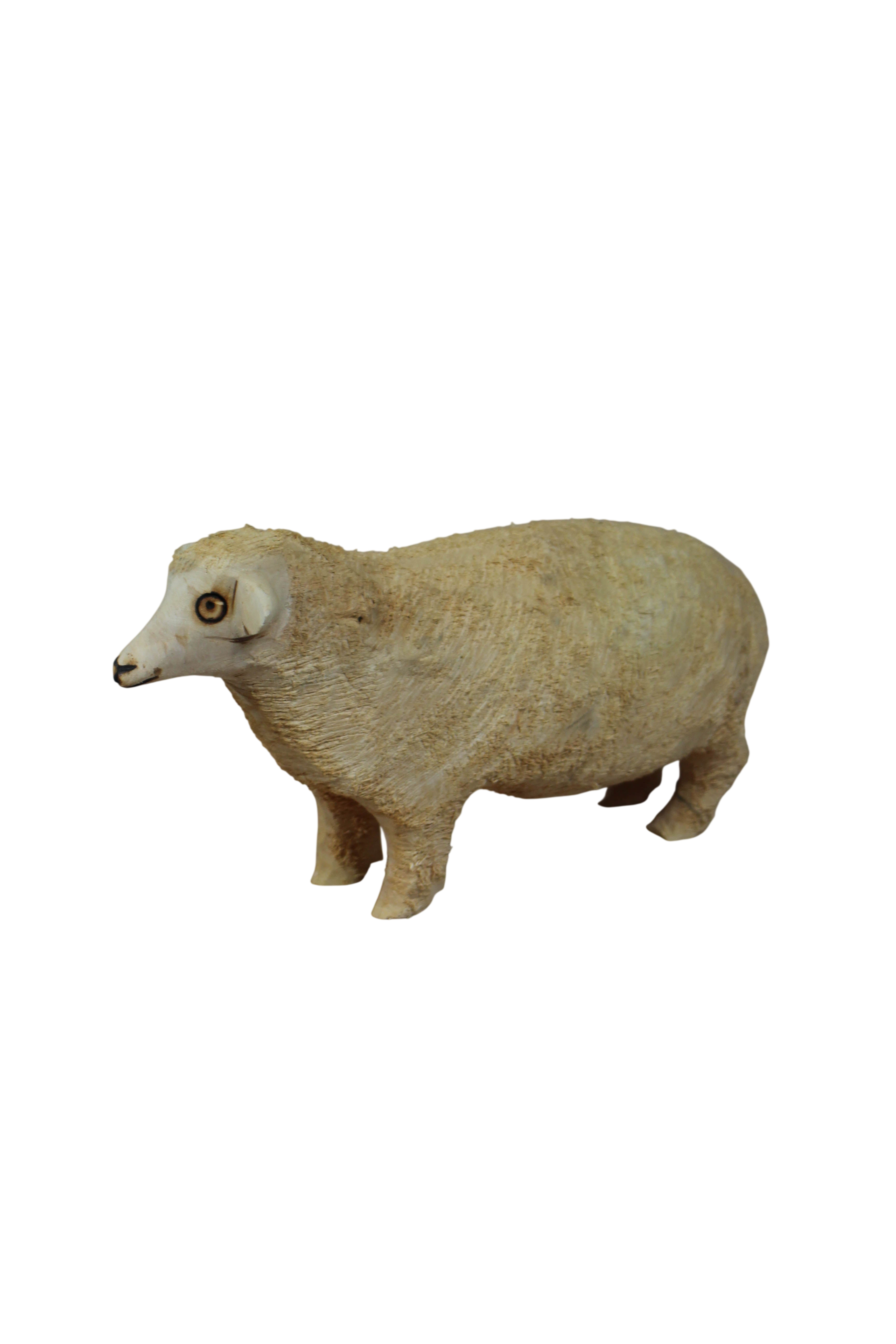 Swazi Sheep 141.3
