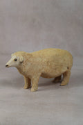 Swazi Sheep 141.4
