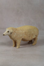 Swazi Sheep 141.4