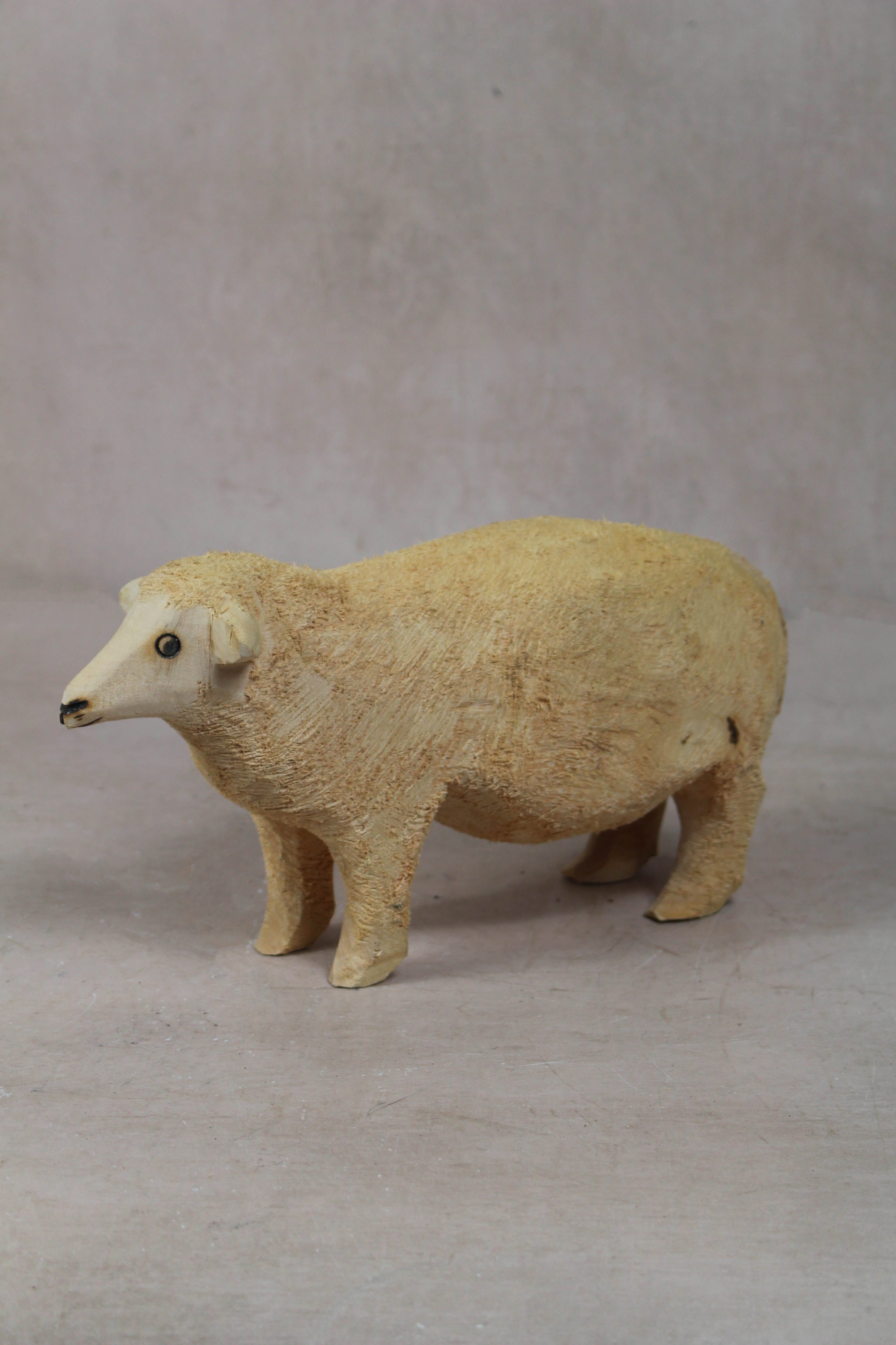 Swazi Sheep 141.4