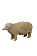 Swazi Sheep 141.4