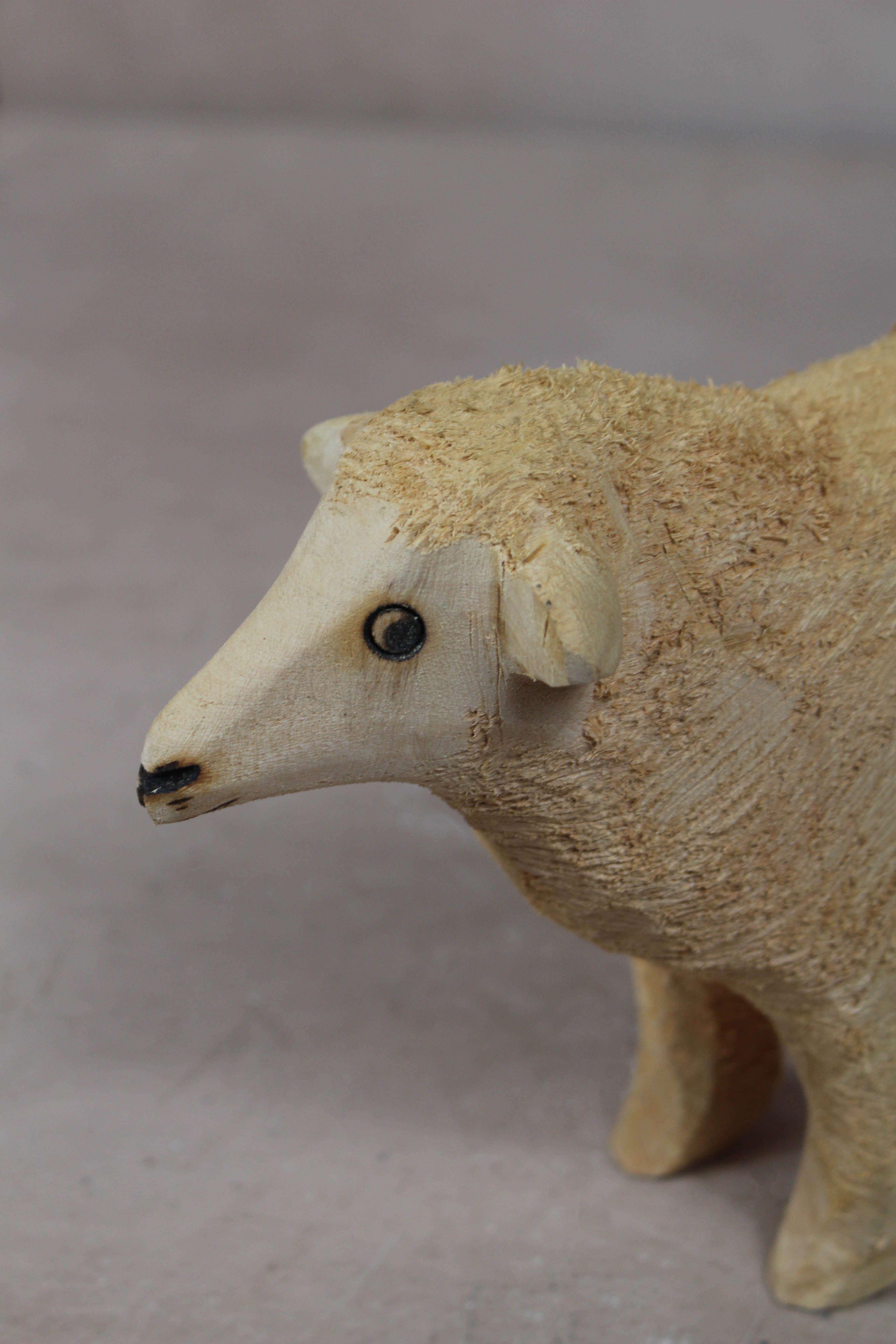 Swazi Sheep 141.4