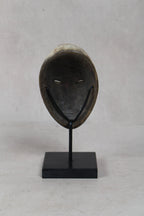 Hand Carved Fang African mask small - 204.3