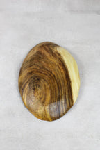 Handmade Wooden Bowl, South Africa - 241.5