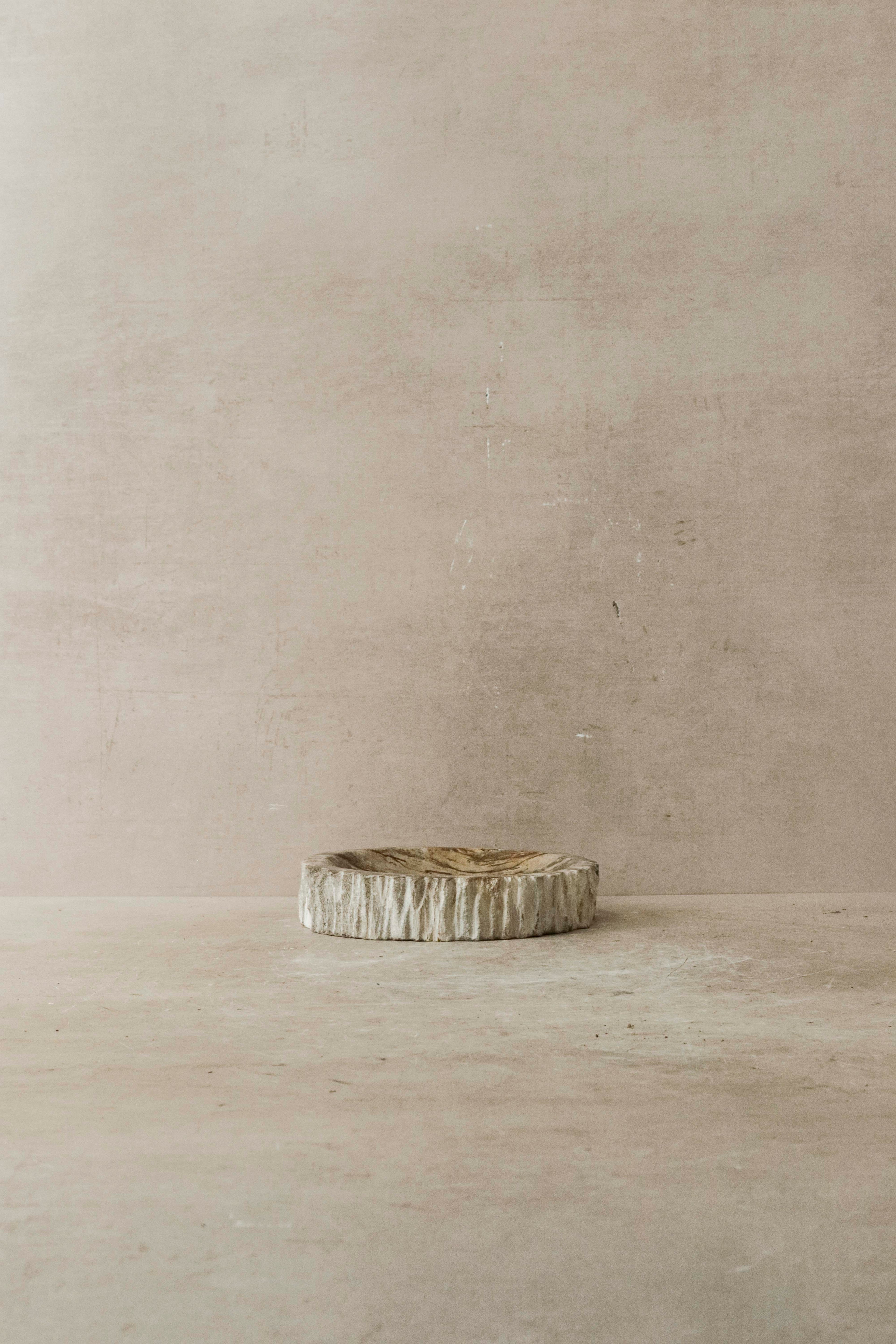 Petrified Wood Tray - 2