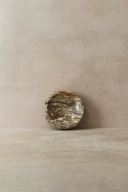 Petrified Wood Tray - 2
