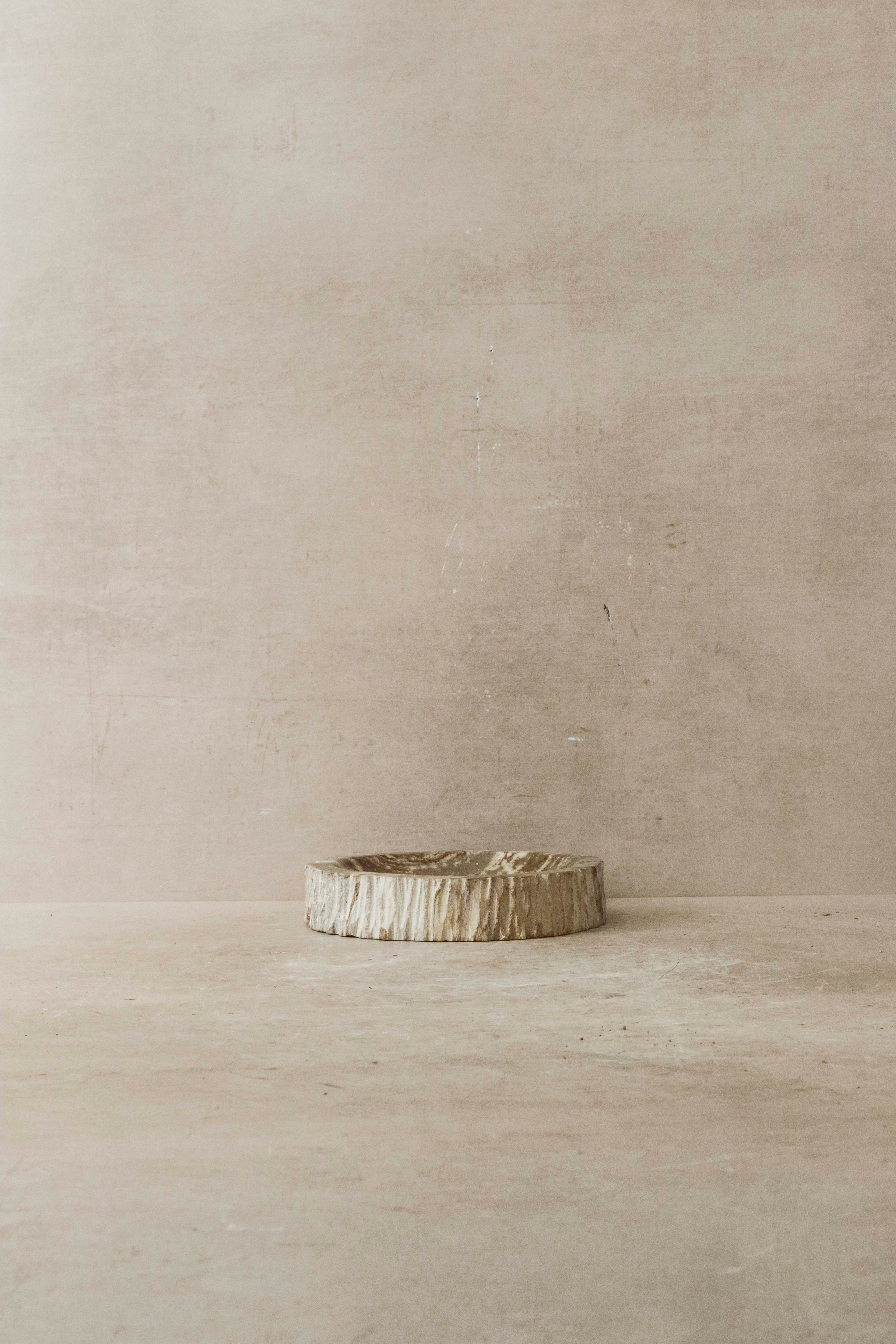 Petrified Wood Tray - 3