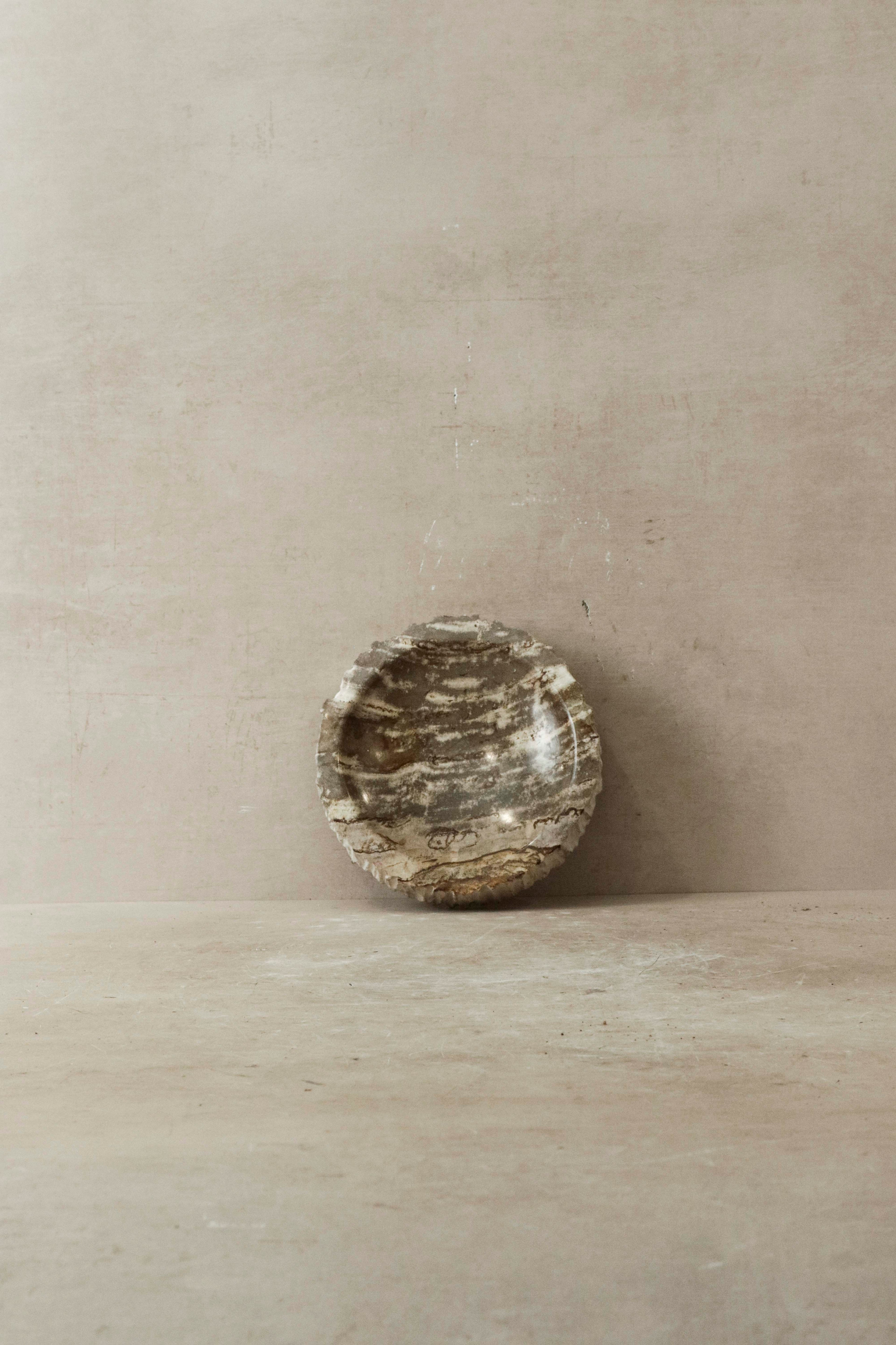 Petrified Wood Tray - 3