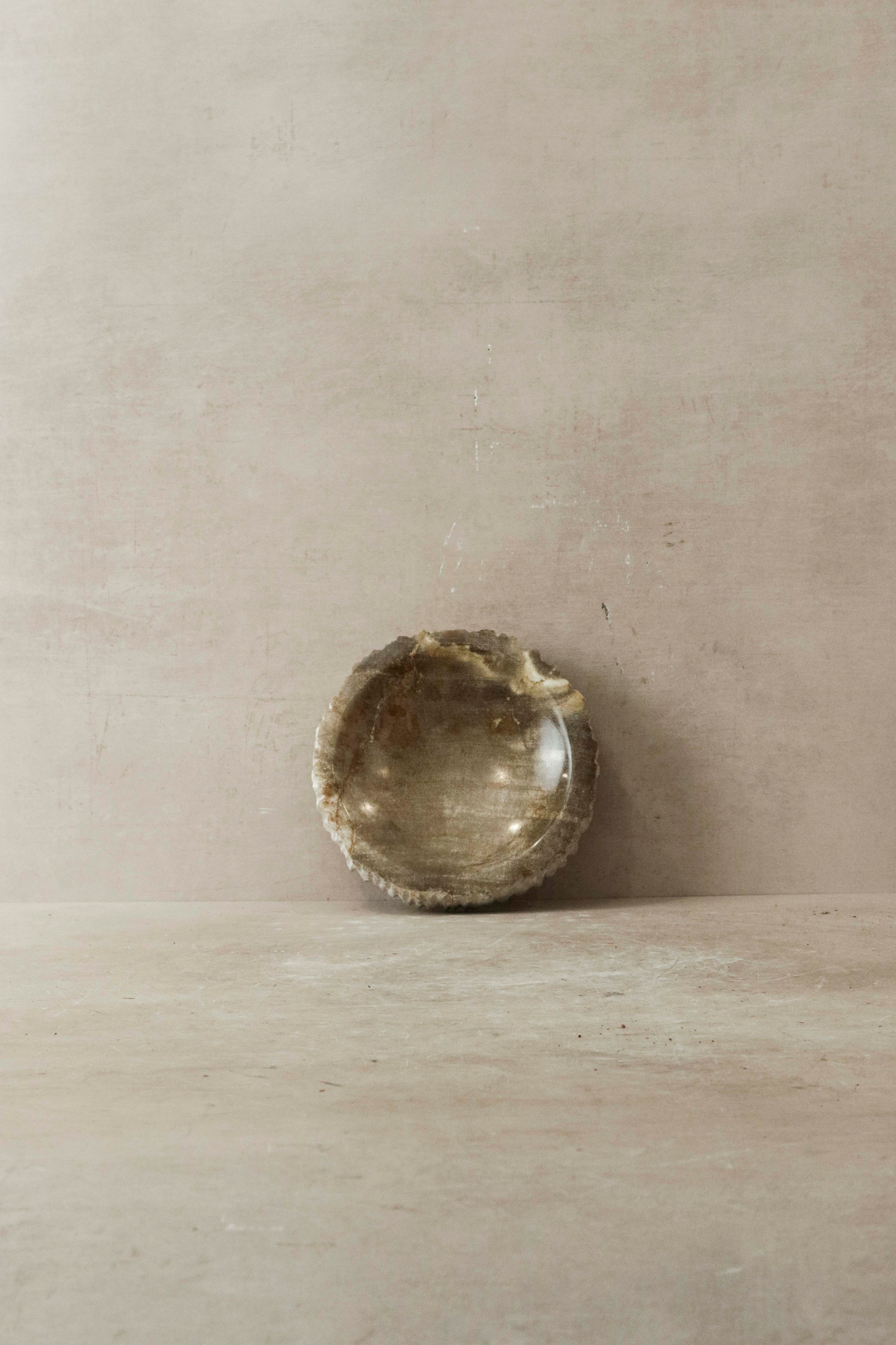 Petrified Wood Tray - 4