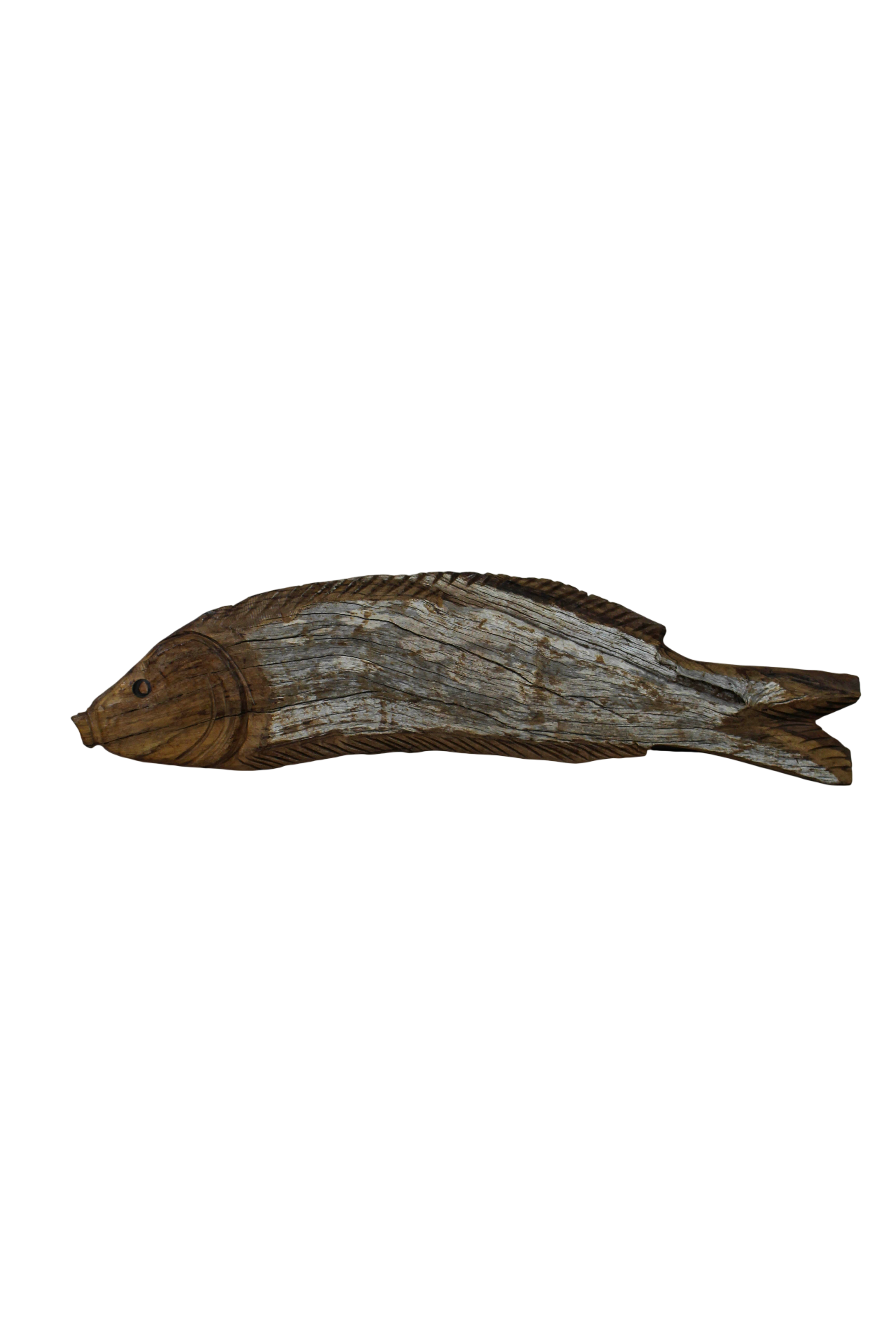 Driftwood Hand Carved Fish - 116.2