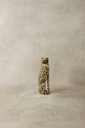 Swazi Cheetah - 35.1