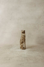 Swazi Cheetah - 35.1
