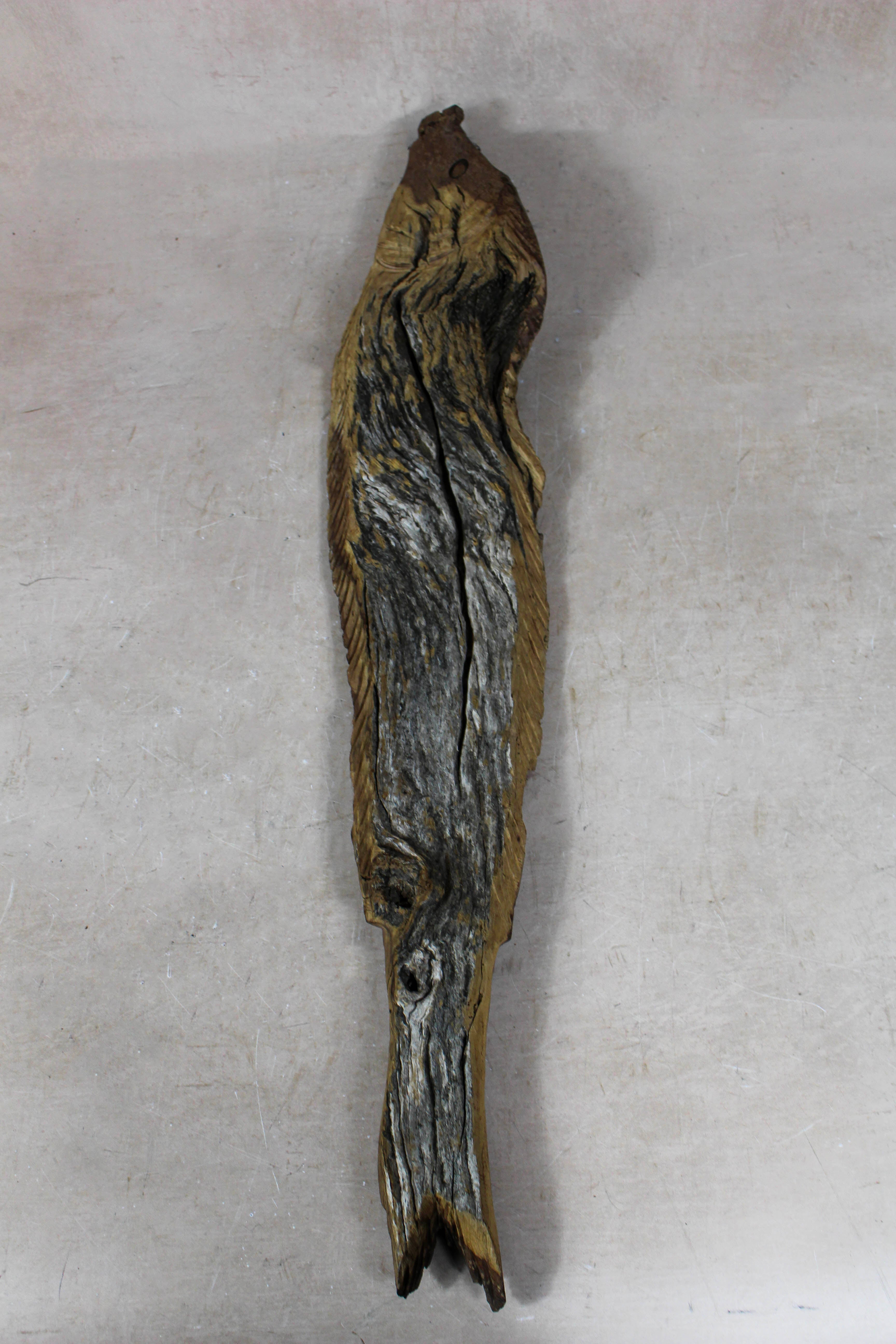 Driftwood Hand Carved Fish - 116.5