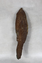 Driftwood Hand Carved Fish - 116.6