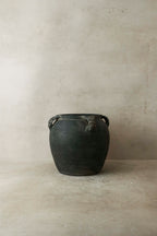 Vintage Lion Ears Dark Pot - De4.6
