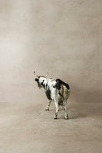 Paper Mache Nguni Cow - 62.1