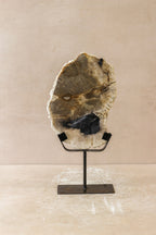 Petrified Wood Display - No 2