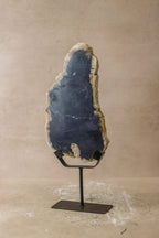 Petrified Wood Display - No 5