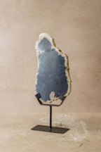 Petrified Wood Display - No 8
