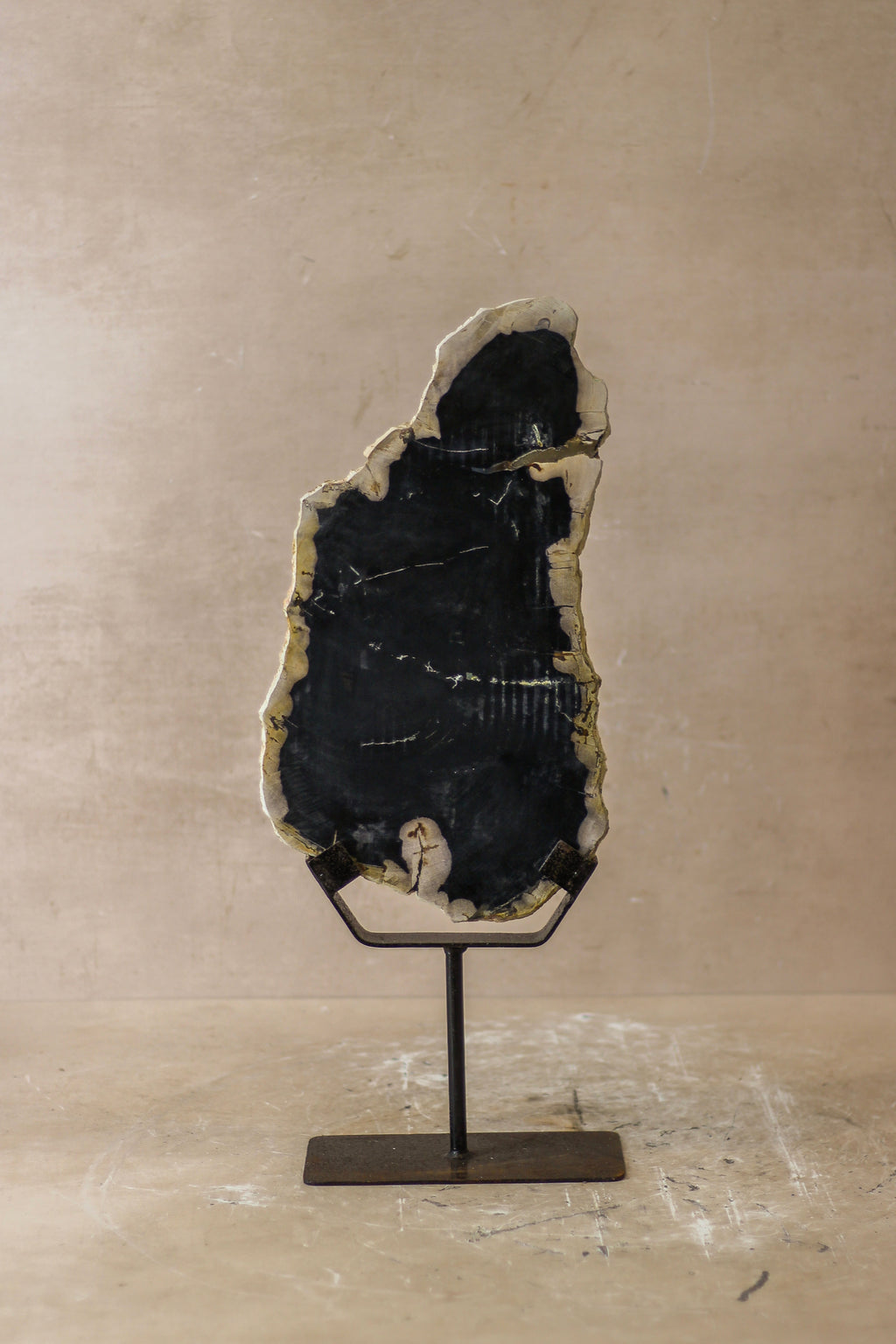 Petrified Wood Display - No 8