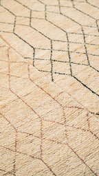 Bazm Hand Knotted Rug - 278 x 189 cm