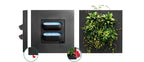 Bamboo Living Wall Picture Frame - Natural