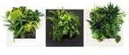 Bamboo Living Wall Picture Frame - Black