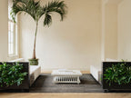Living Wall Divider - 81cm - Black