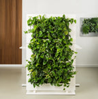 Living Wall Divider - 180.5cm - White