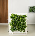 Living Wall Divider - 131cm - White