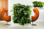 Living Wall Divider - 131cm - White