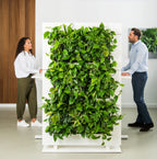 Living Wall Divider - 81cm - White