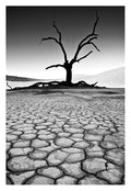 David Ballam - Namibia 03