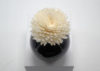 Sola Wood Flower Diffuser Reed With Cotton Wick