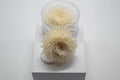 Sola Wood Flower Diffuser Reed With Cotton Wick