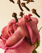 Medina Rose 100ml Reed Diffuser