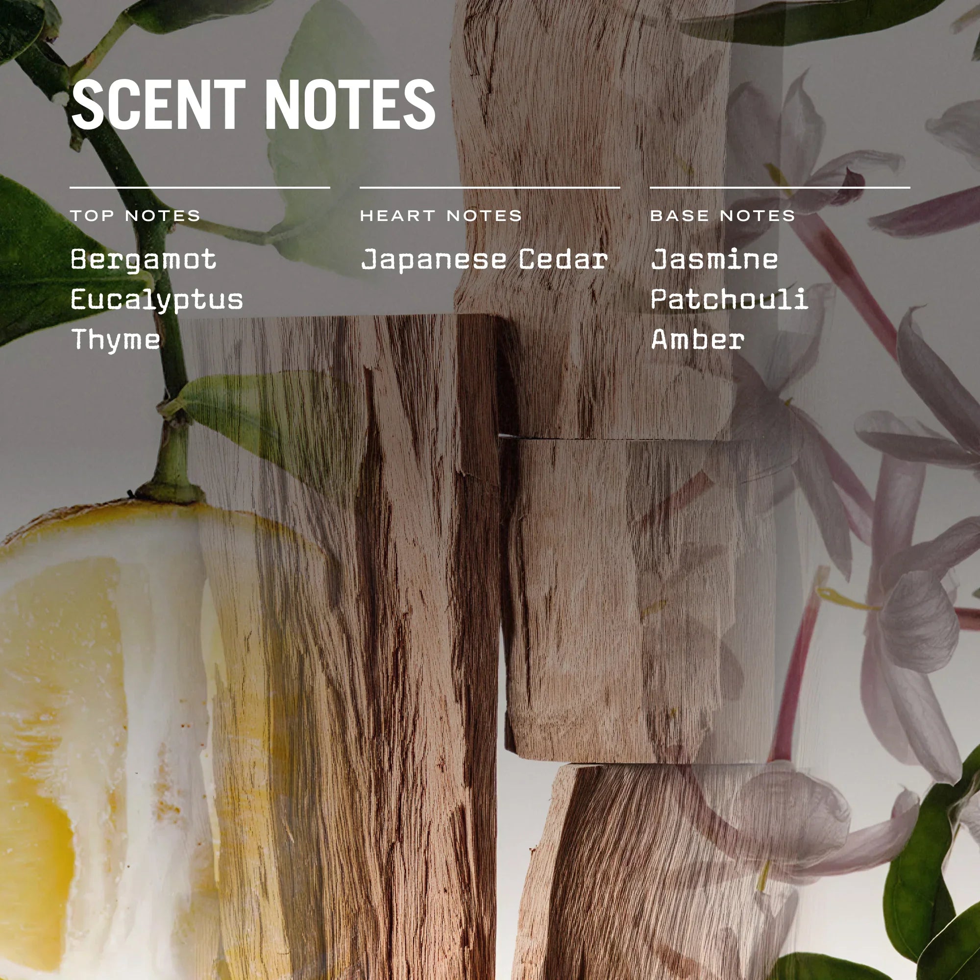 Sugi 250g Scented Soy Candle