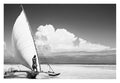 David Ballam - ZAN_01
