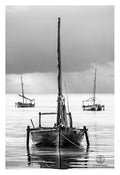David Ballam - ZAN_15