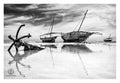 David Ballam - ZAN_19
