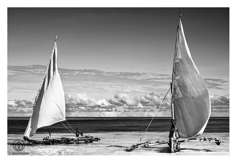 David Ballam - ZAN_61