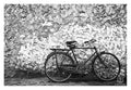 David Ballam - ZAN_68