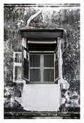 David Ballam - ZAN_71
