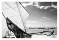 David Ballam - ZAN_77