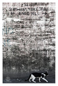 David Ballam - ZAN_86