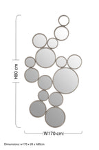 Large Silver Multi Circle Wall Mirror | Zariah