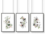 Bathroom chic shabby decor | set of 3 framed wall prints