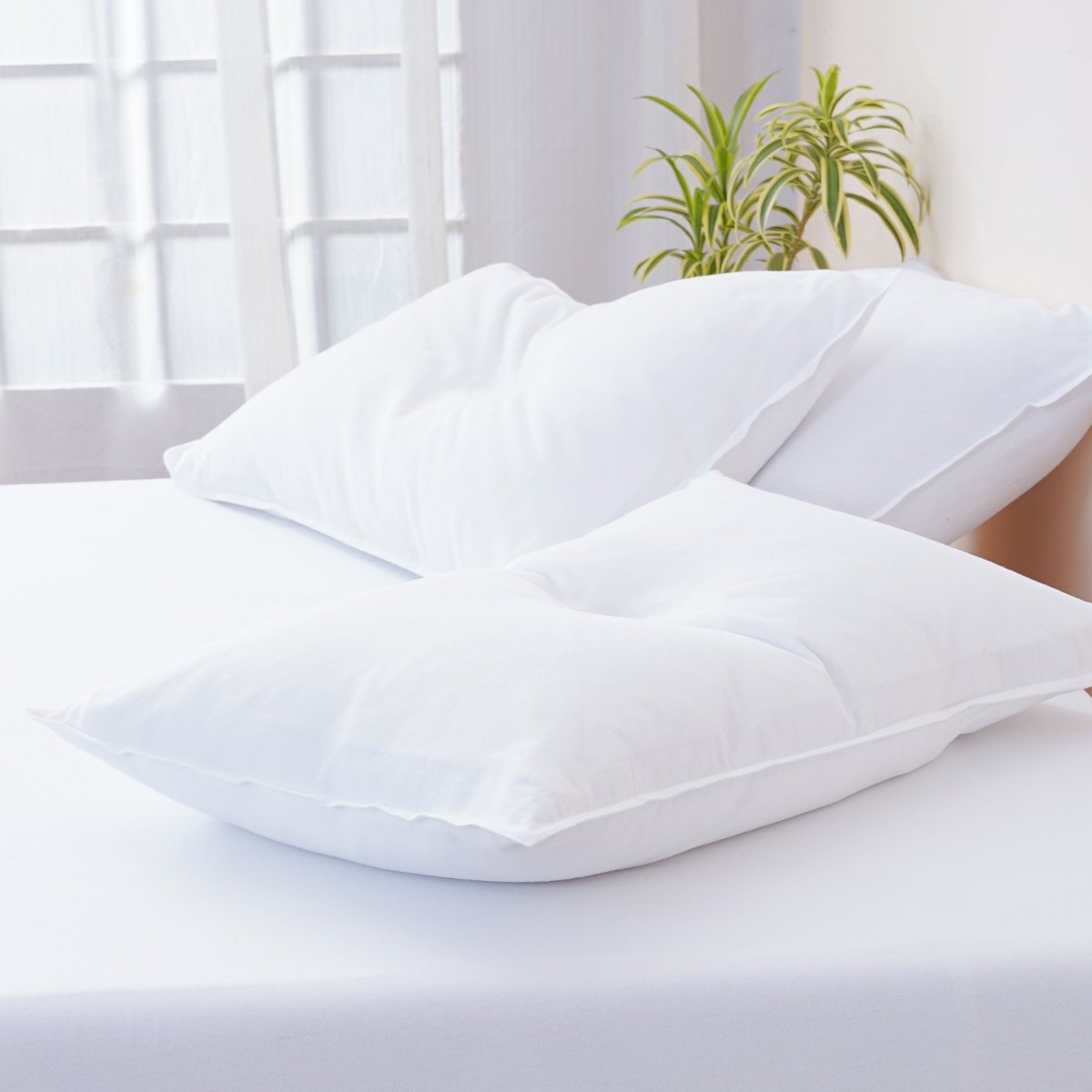 Bella Flannelette (Brushed Cotton) - White Pillowcases Pair