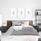 Botanical Framed Prints | Set of 3 wall art prints