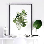 Botanical prints | set of 3 wall art prints